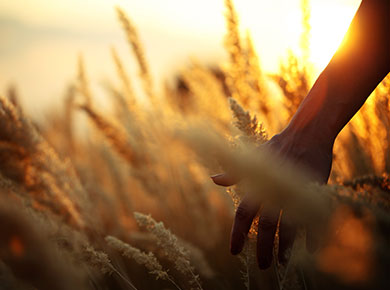 Farm Credit Canada